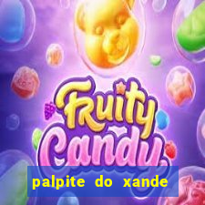 palpite do xande para hoje